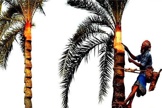 image-here